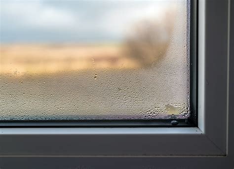 Drafty windows. Things To Know About Drafty windows. 